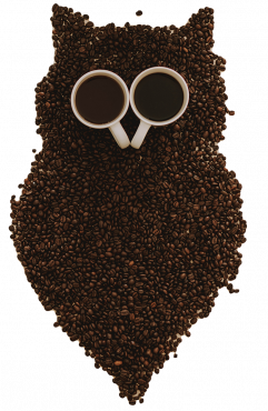 In 90 Minuten zum "Kaffee-Experten" Online Kurs (Anmeldung siehe Text)